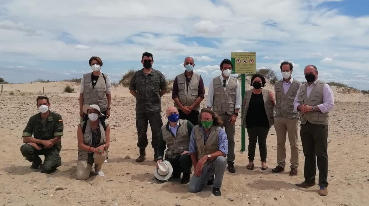 La Junta apoya la protección de zonas de cría de chorlitejo patinegro en la Bahía de Cádiz