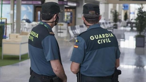 Un detenido y 142 plantas de marihuana incautadas por la Guardia Civil en una vivienda de Pilas