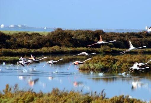 Parque Natural Bahía de Cádiz