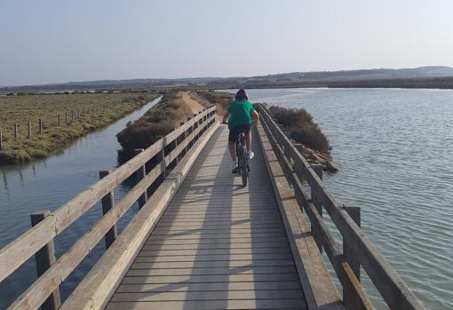 Parque Natural de La Breña y Marismas de Barbate