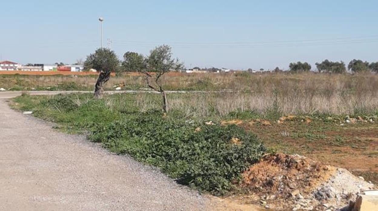 Zona donde fue hallado el cadáver de este vecino de Dos Hermanas