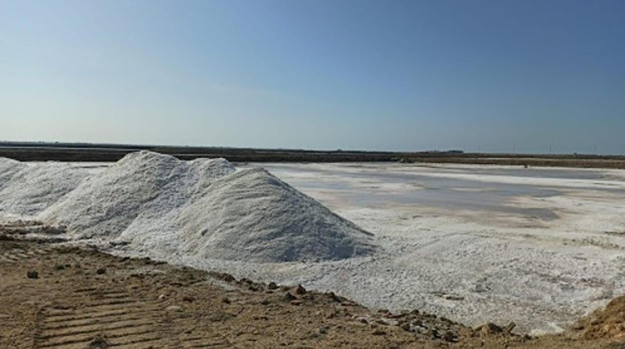 San Fernando y la UCA colaboran para impulsar el estudio y la divulgación de las salinas