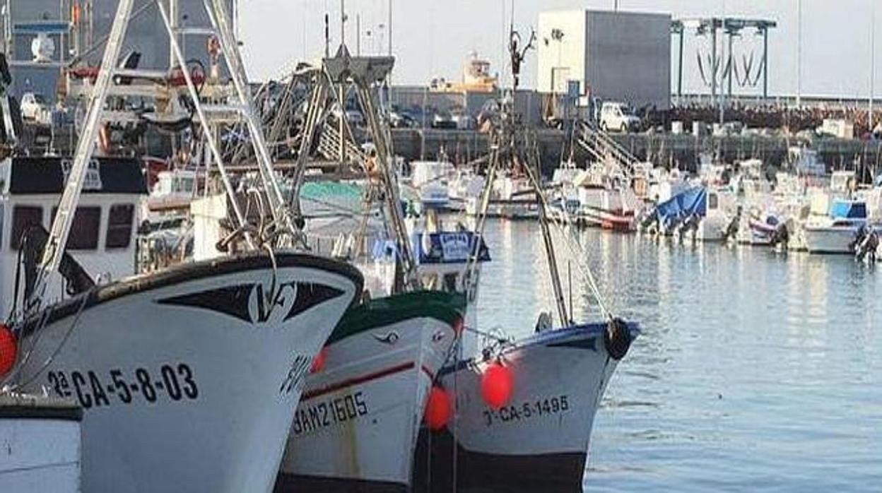 La organización introducía hachís con embarcaciones en el puerto de Barbate