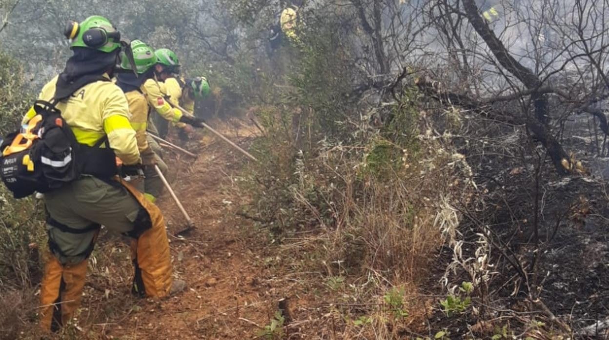 Incendio declarado este martes en El Garrobo