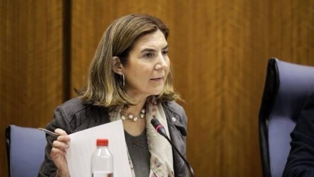 La Junta convoca ayudas por 178.000 euros para facilitar la conciliación de autónomos en Cádiz