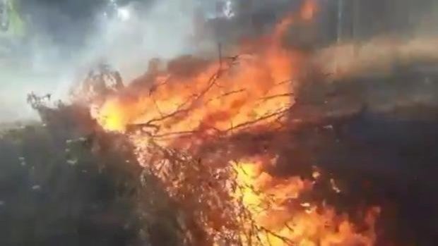 Controlado el incendio en Constantina