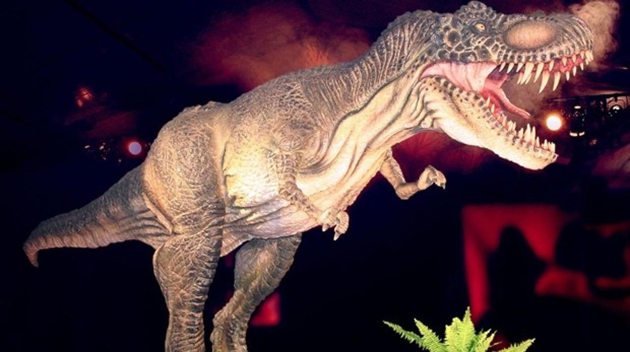 La exposición interactiva «Explora Dinosaurs» llega a Sanlúcar