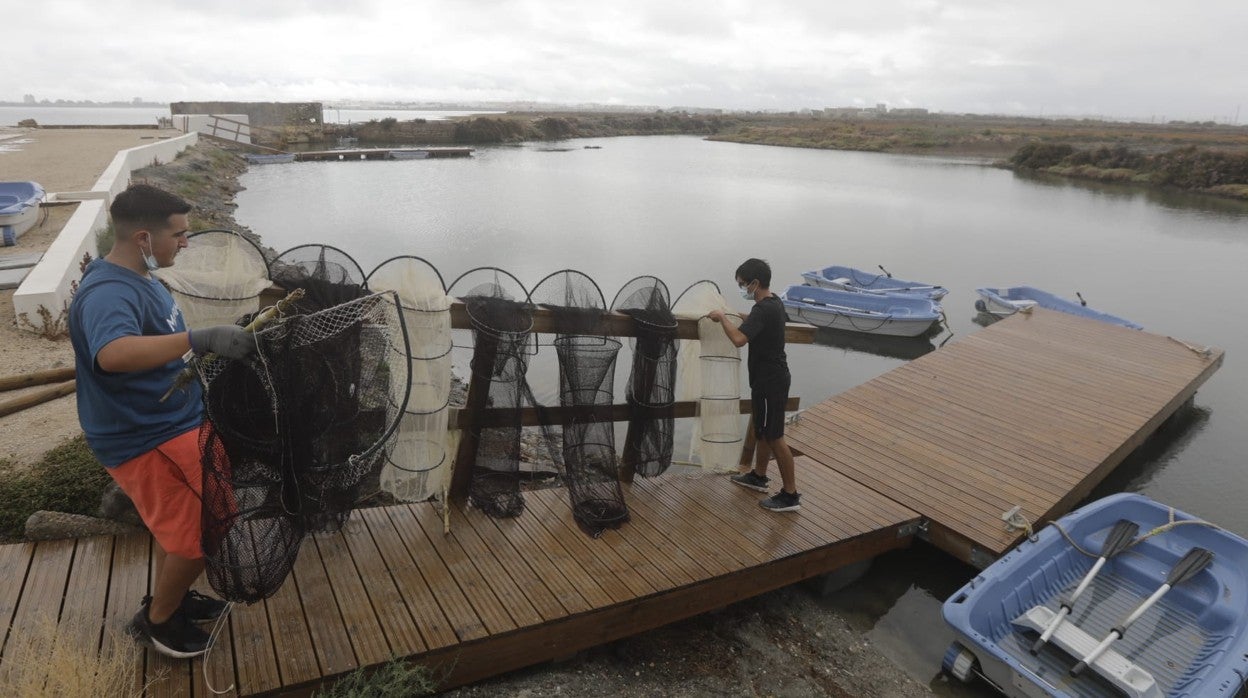 Entorno de la Salina Preciosa y Roqueta en el Parque Natural Bahía de Cádiz