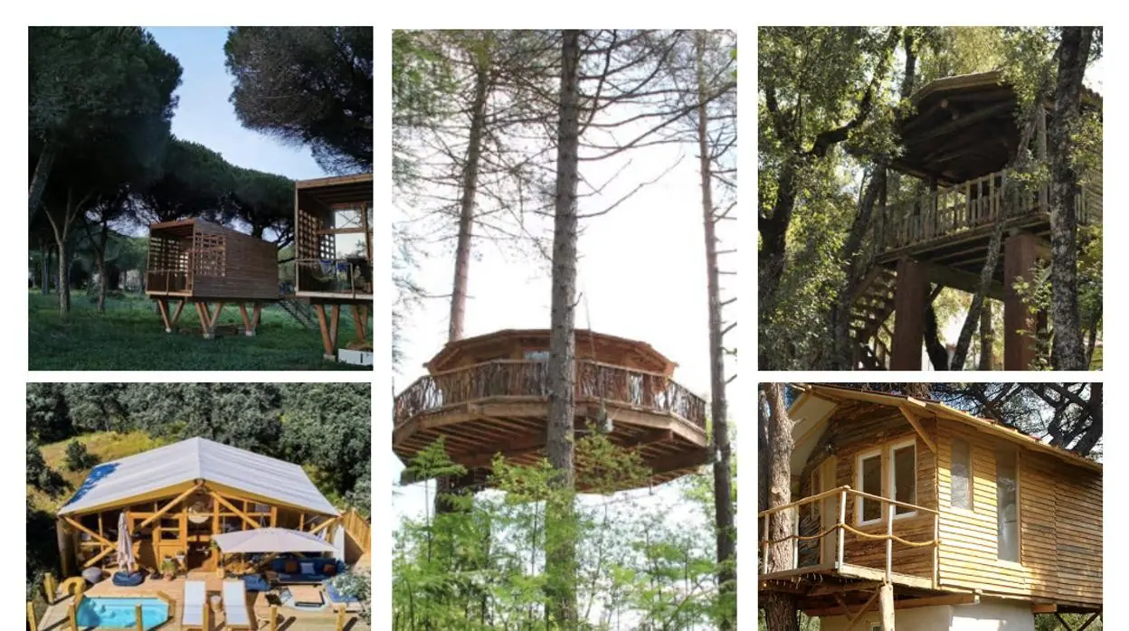 Un viaje espectacular por cinco de las casas árbol más bonitas de España