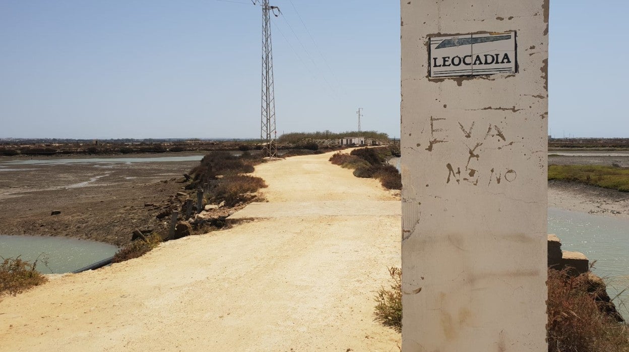 Las instalaciones en La Leocadia se encuentran abandonadas desde 2017