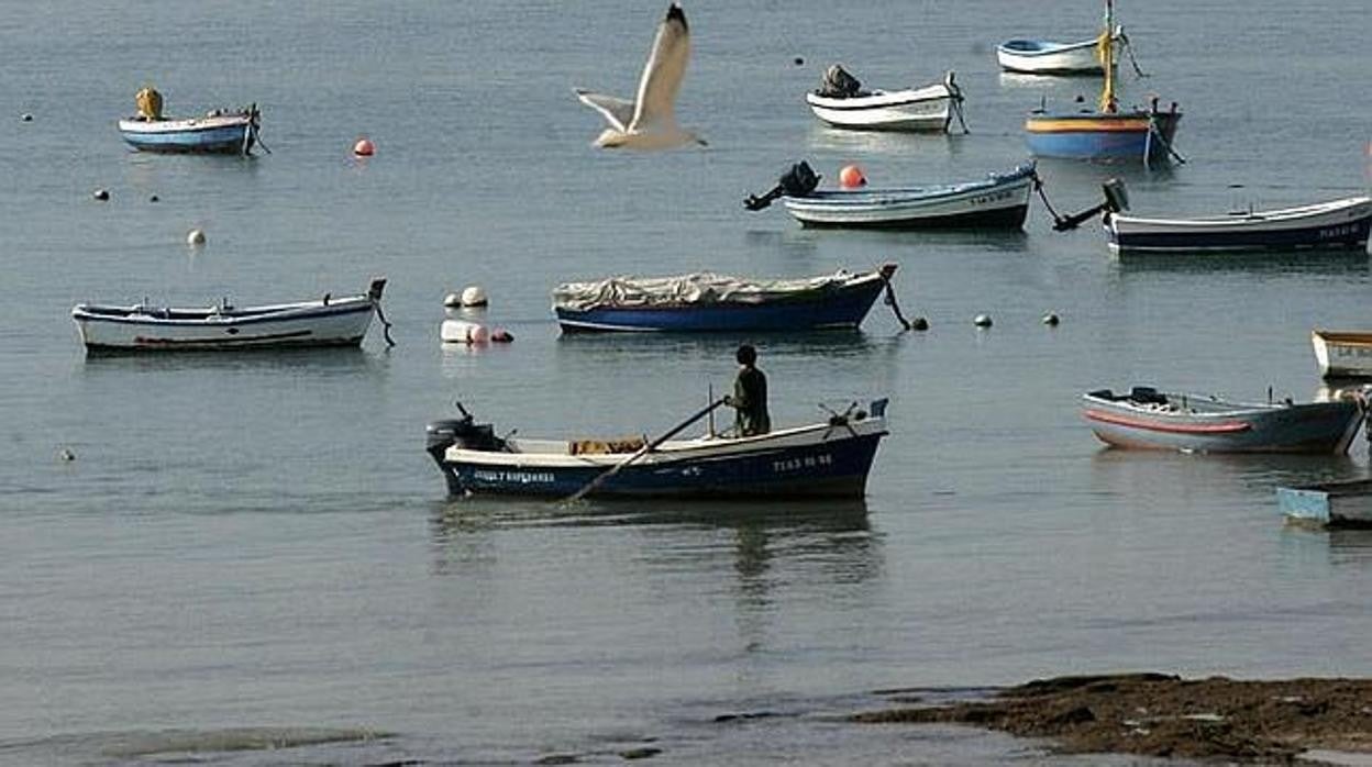 Cádiz aprueba crear una escultura para el pescador caletero