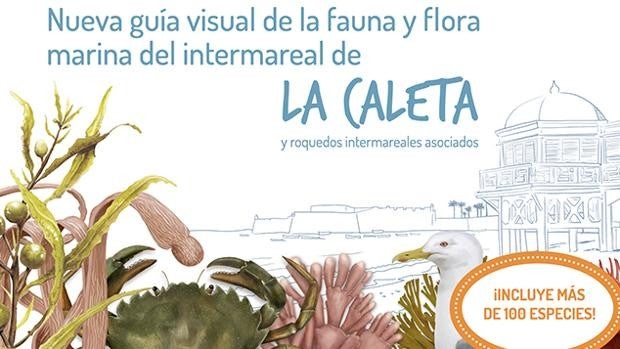 La Caleta ya tiene una nueva guía visual con más de 100 especies de flora y fauna