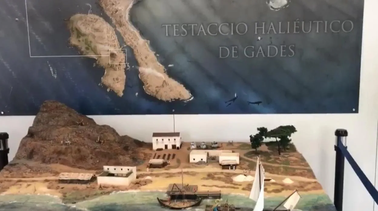 La cripta arqueológica del El Olivillo y la gran montaña de residuos del canal Bahía-Caleta
