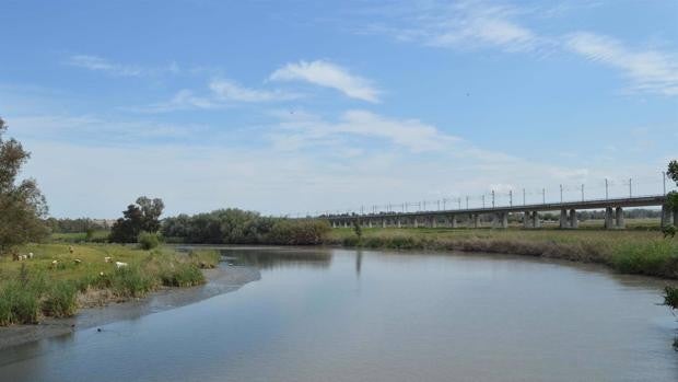 La Junta aprueba provisionalmente el Plan Especial Supramunicipal del río Guadalete en Jerez y El Puerto