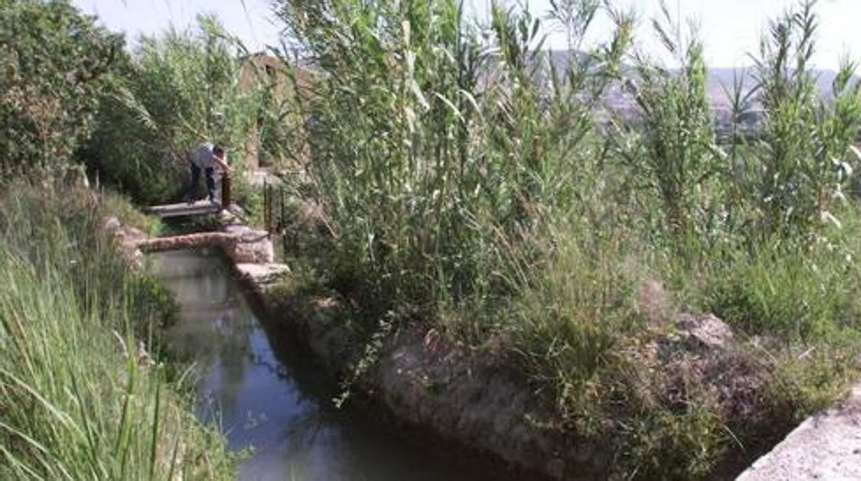 Muere un hombre que llevaba 24 horas atrapado en una acequia en San Roque