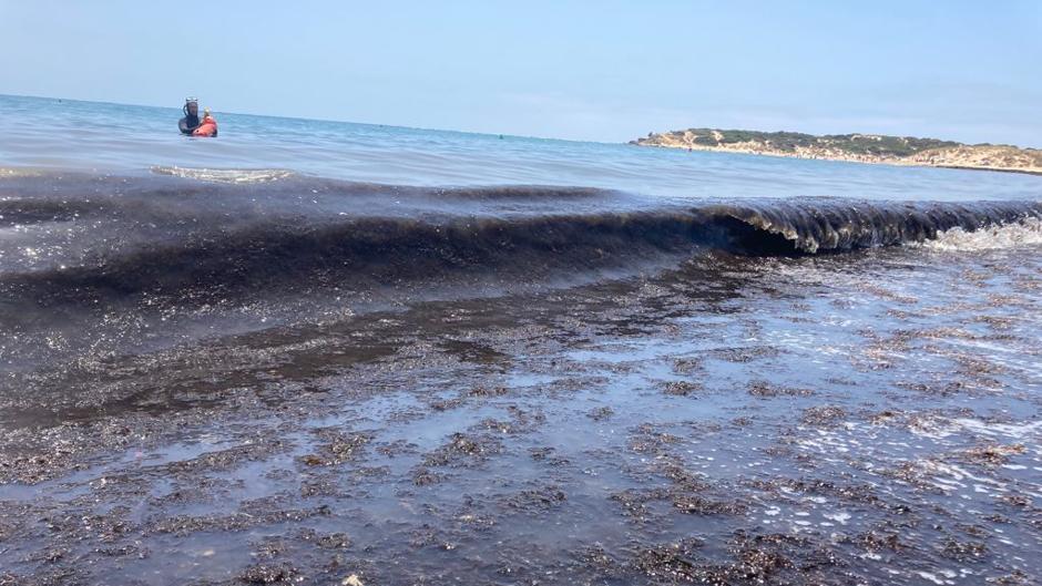 «El mar huele a bicho muerto», denuncian los hosteleros de Los Caños de Meca