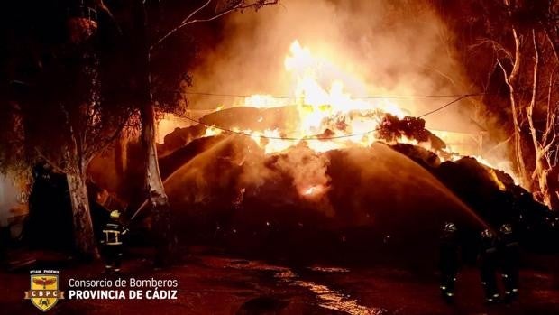 Incendio en la finca de la ganadería Núñez del Cuvillo en la zona de Los Naveros, en Vejer