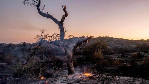 El incendio de El Ronquillo afecta ya a 18 hectáreas y está cerca de ser controlado, según el alcalde