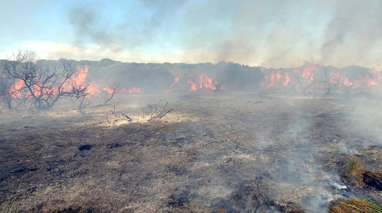 Incendio forestal en Sanlúcar de Barrameda que necesitó la actuación del Infoca