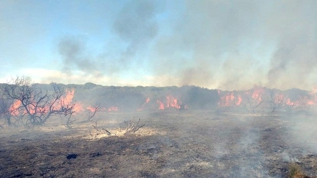 27 municipios de Cádiz se encuentran en «zonas de peligro» por incendios forestales según el Plan Infoca