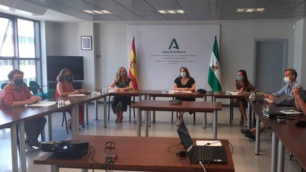 Infoca refuerza las tareas de vigilancia mediante vuelos preventivos sobre zonas forestales de Andalucía durante la ola de calor