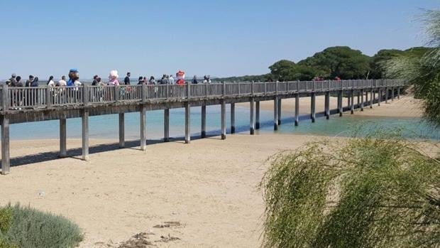 Consulta las actividades programadas en el Parque de los Toruños por el bicentenario de la Batalla del Trocadero