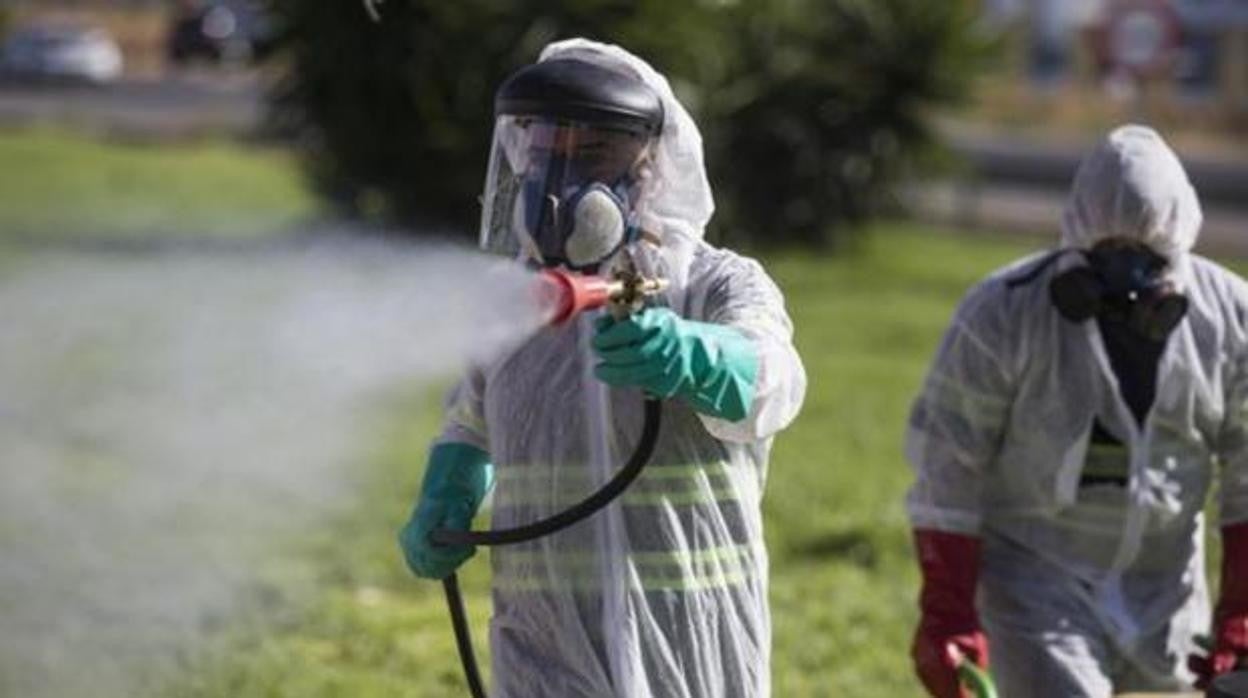 Tarea de fumigación en una zona verde de Coria del Río, en agosto de 2020