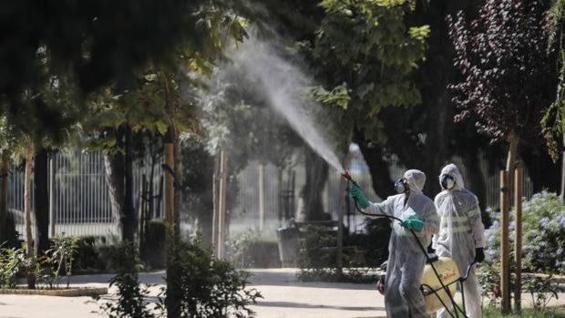 Críticas a la Junta por «no fumigar en zonas de su competencia» contra el mosquito del virus del Nilo