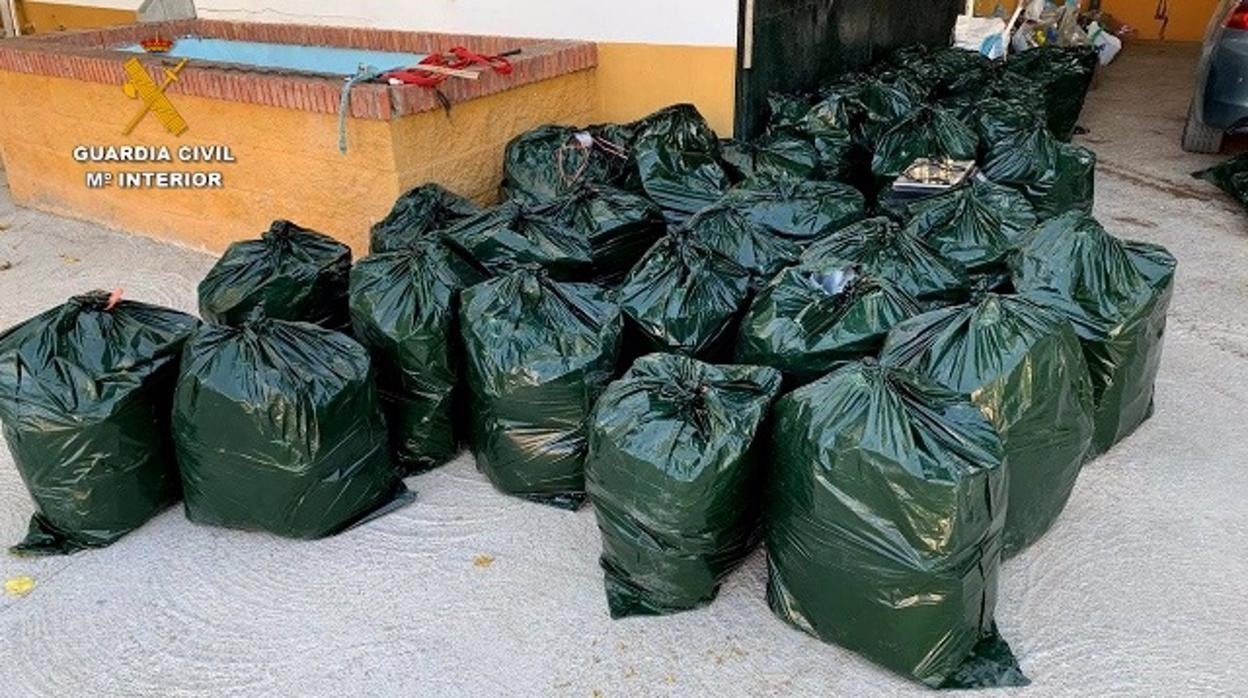 Once detenidos tras desmantelar una importante organización polaca de narcotraficantes que operaba en Andalucía