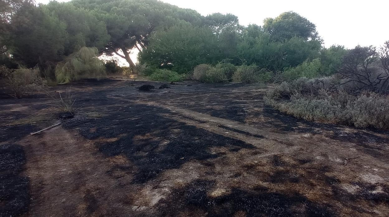 El fuego ha arrasado retamas y juncos en el Coto de la Isleta