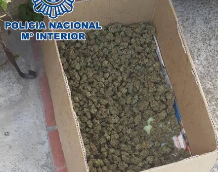 Desmanteladas cuatro plantaciones de marihuana instaladas en dos naves en Sanlúcar