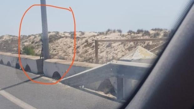 Un radar móvil detrás de una farola en la autovía de Cádiz a San Fernando se hace viral
