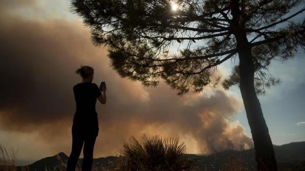 Bomberos de Cádiz se ofrecen para ayudar en el devastador incendio de Sierra Bermeja, en Málaga