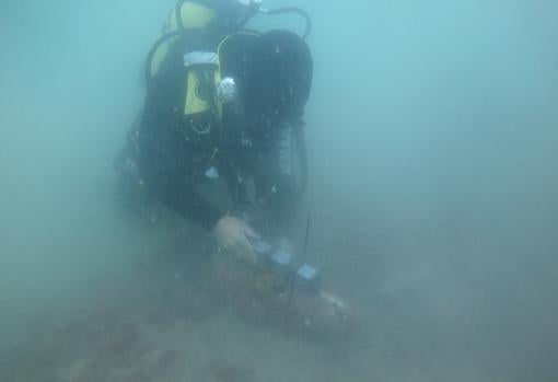 Granadas, proyectiles, explosivos... la Unidad de Buceo de Cádiz desactiva hasta siete artefactos