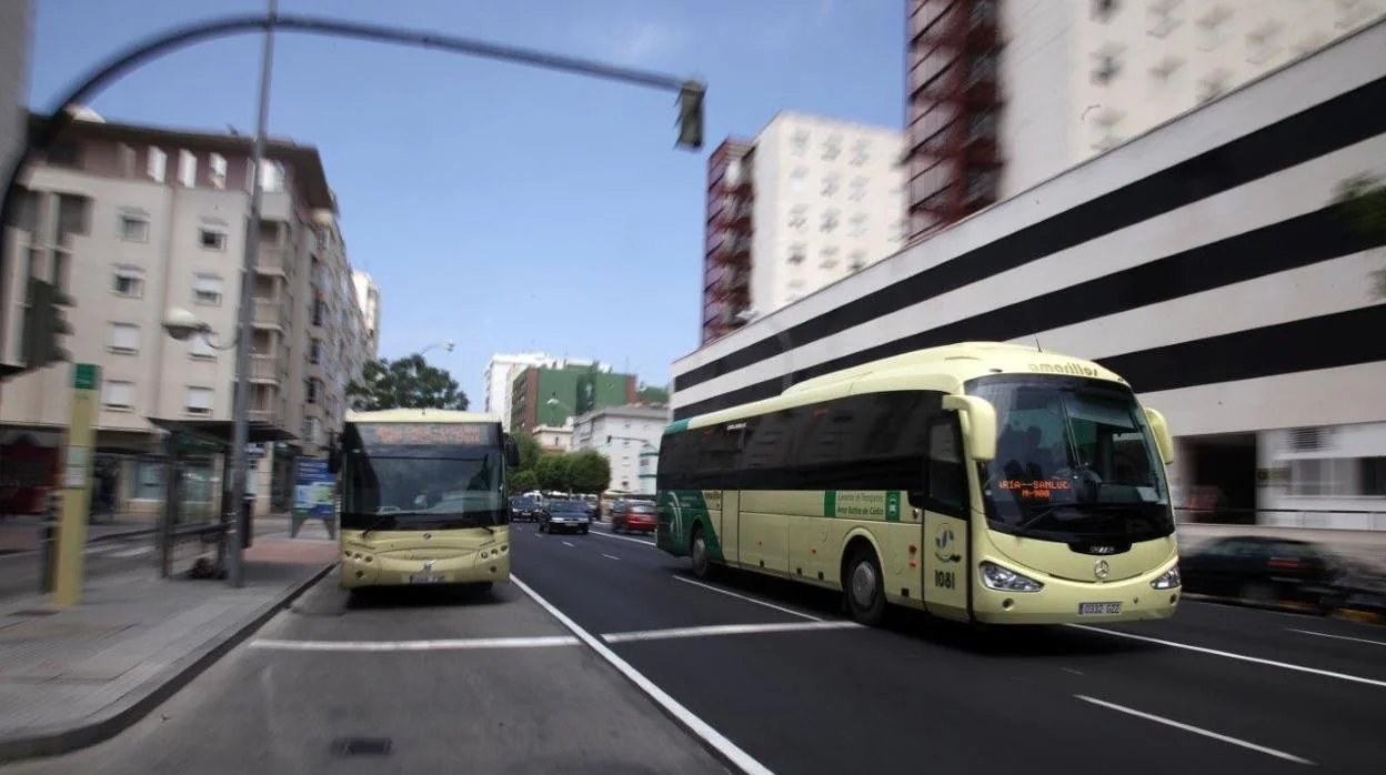 El Consorcio de Transportes de la Bahía de Cádiz incrementará sus servicios con motivo del SailGP