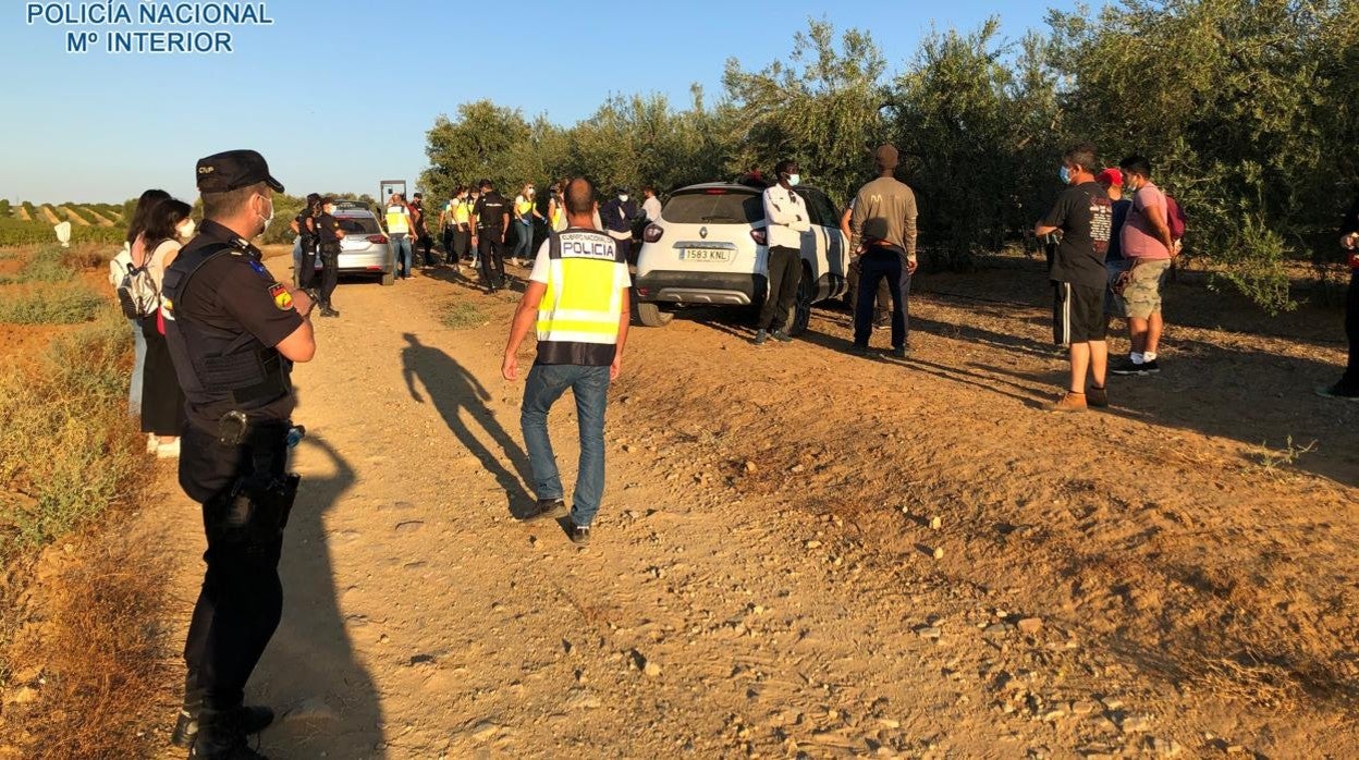 Los agentes en el momento de intervenir en una de las explotaciones agrícolas