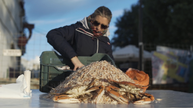 Nueve pueblos de Sevilla piden reunirse con la Junta para tratar el desarrollo del estuario del Guadalquivir