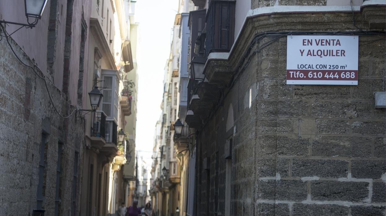 «El bono para jóvenes puede subir el precio del alquiler en Cádiz»