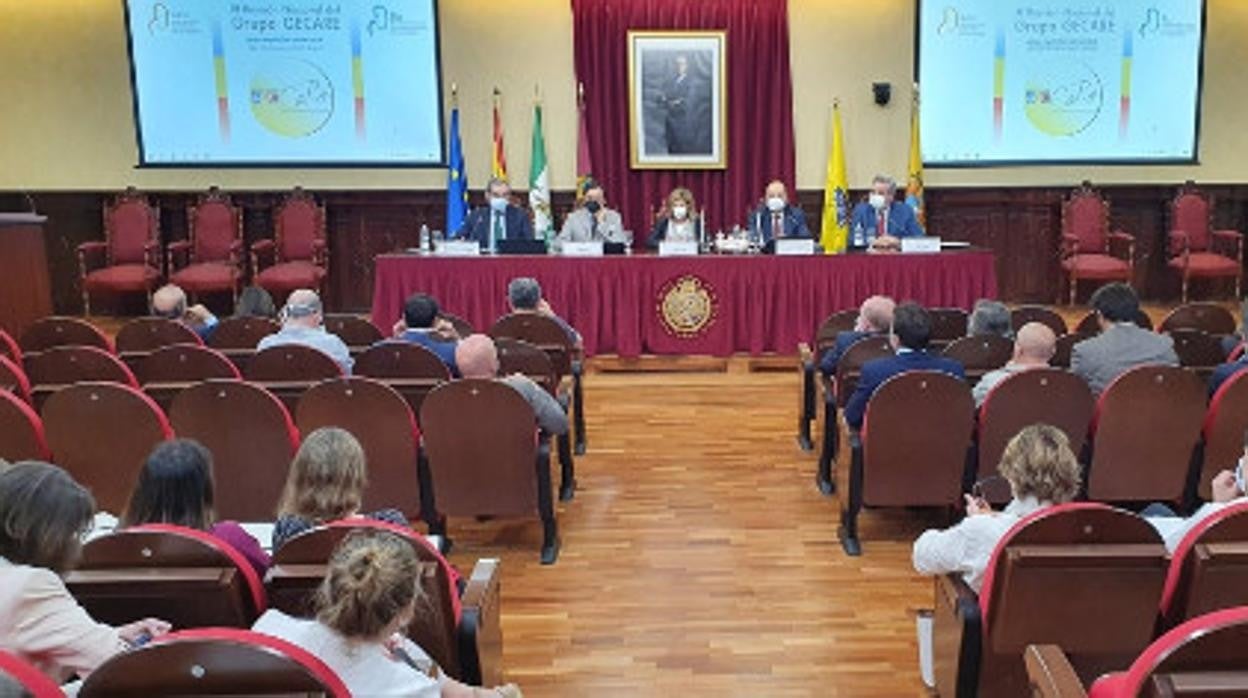 Un centenar de urólogos participan en Cádiz en la reunión del Grupo Español de Cáncer Renal