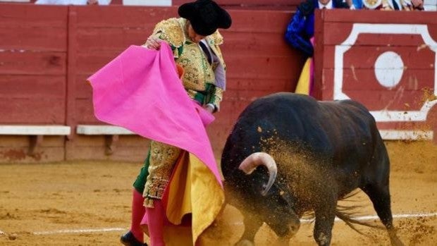 Estos son los galardonados en los I Premios Taurinos de la Delegación del Gobierno de la Junta en Cádiz