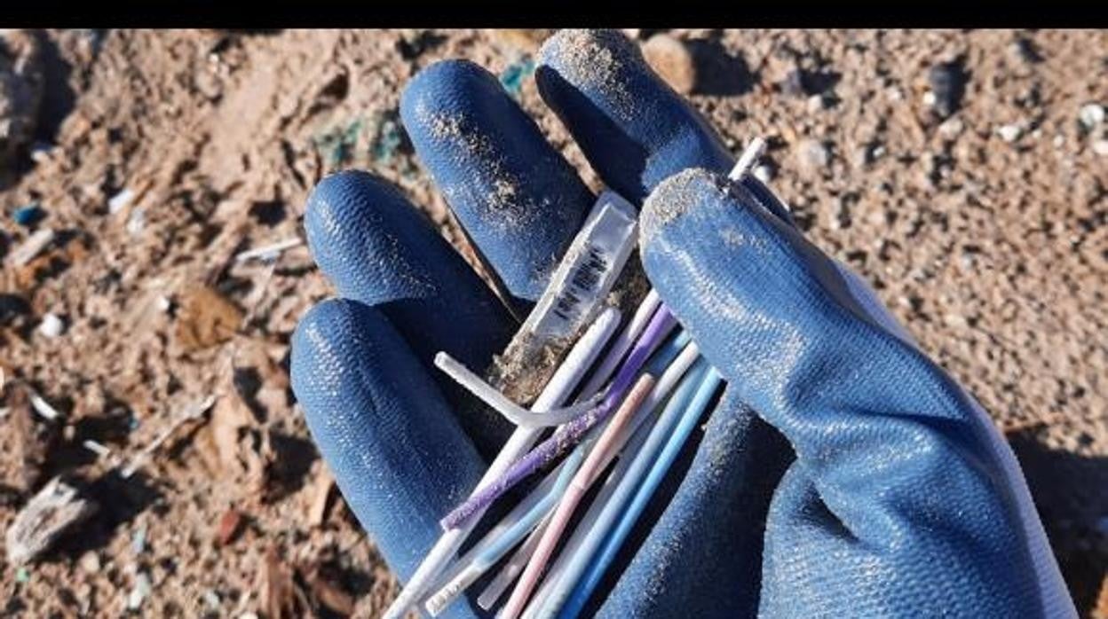 Bastoncillos recogidos en la playa de Cortadura