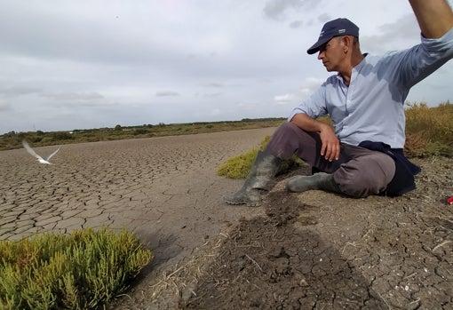 Profesor Alejandro Pérez-Hurtado de Mendoza