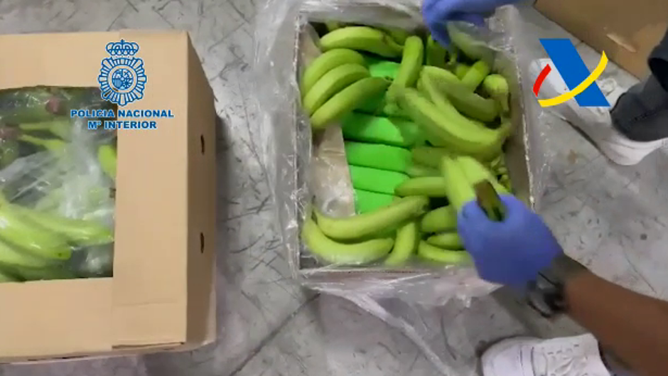 Intervenidos más de 600 kilogramos de cocaína oculta en un cargamento de plátanos