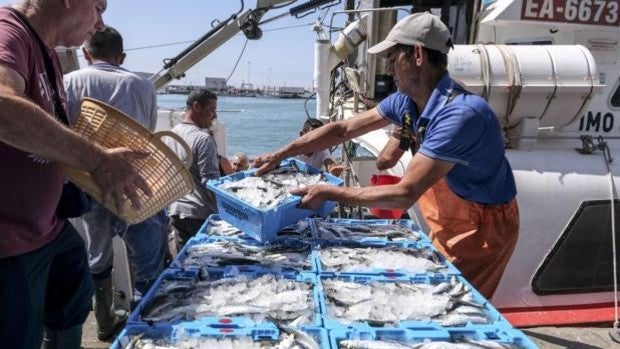 Pescadores afean la «reducción tras reducción» de días de faena: «No es satisfactorio ni para Cádiz, ni el Mediterráneo»