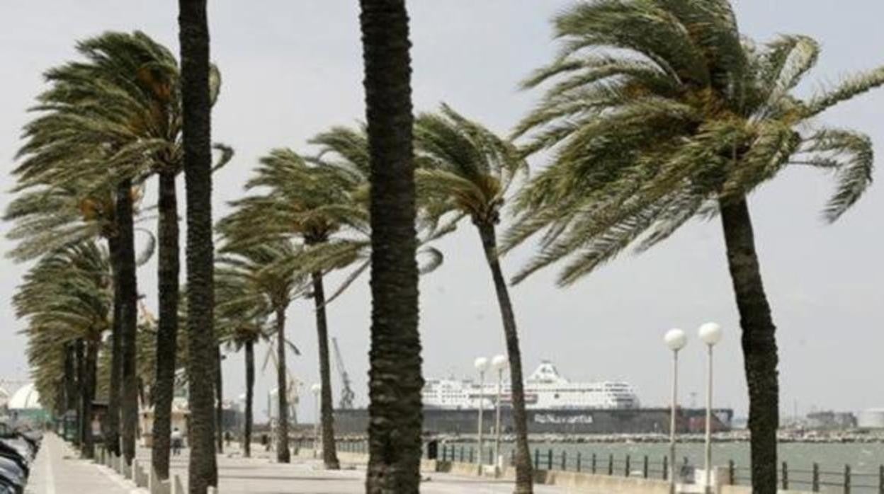 Tiempo en Cádiz: aviso de Levante