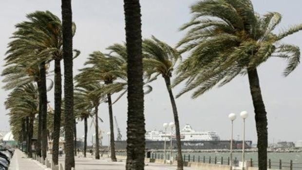 Aviso amarillo por viento fuerte de Levante en Cádiz