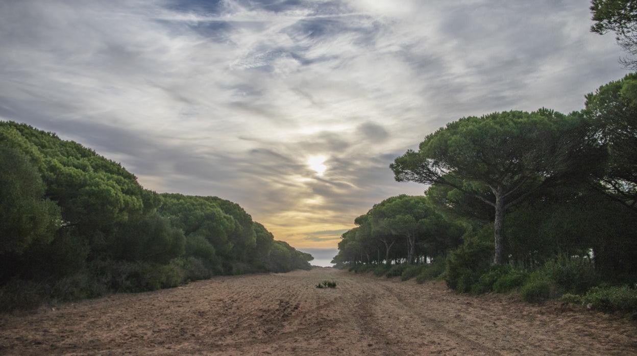 Parque Natural de la Breña.