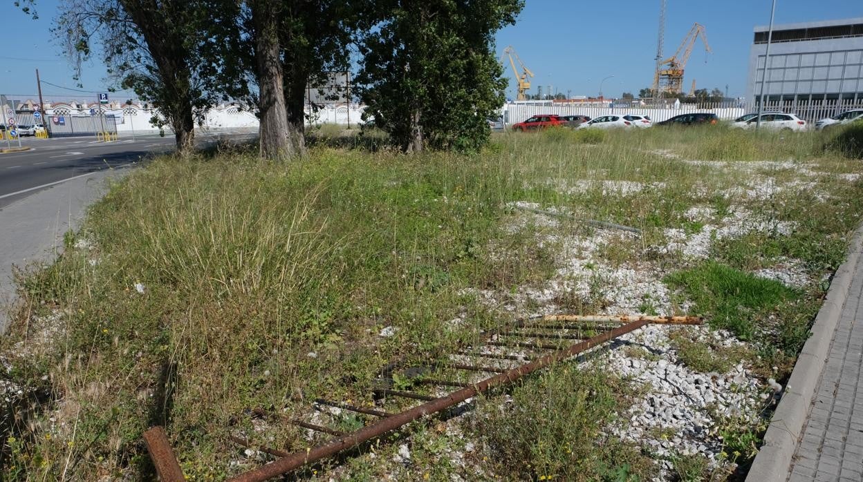 Las zonas verdes de la ciudad, en un evidente mal estado