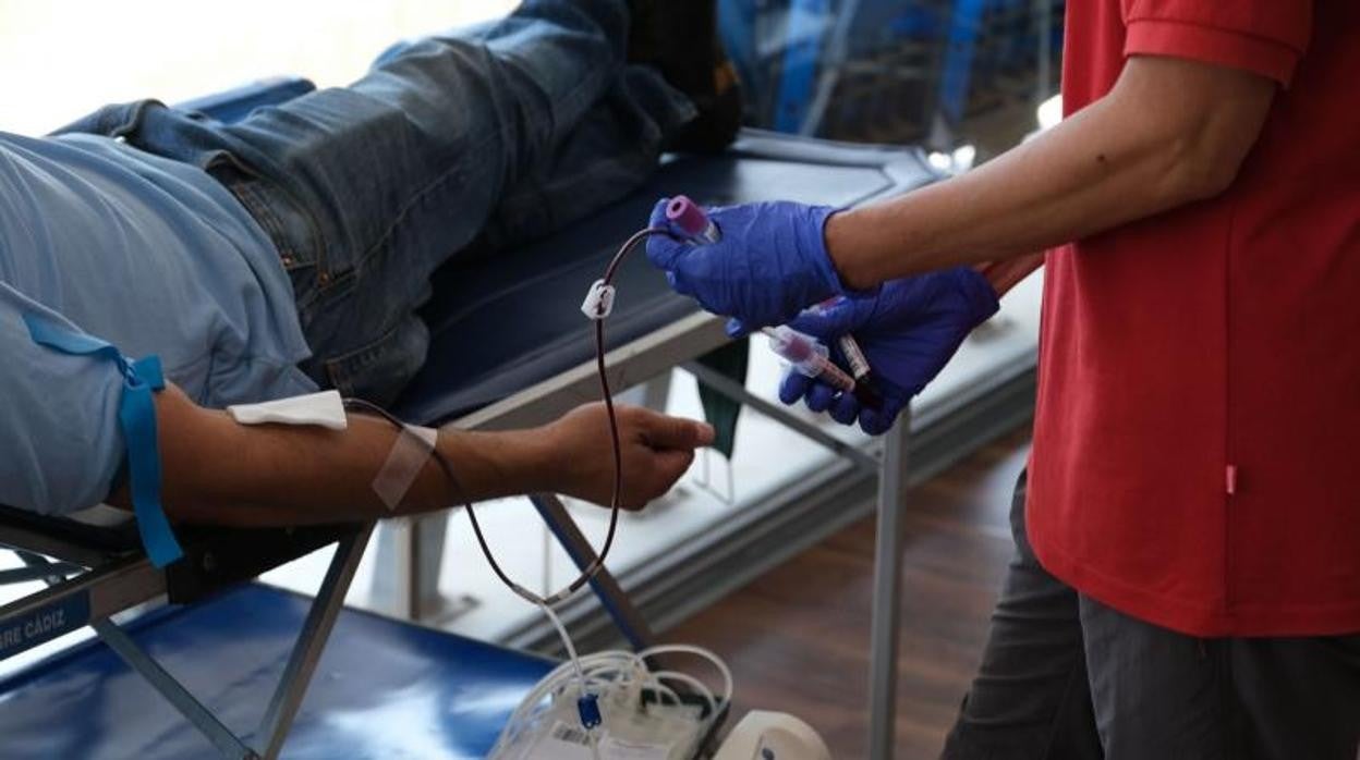 Donación de sangre en una foto de archivo.