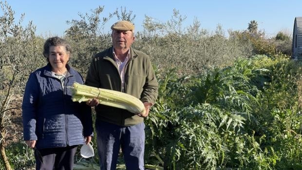 Picarnache, el plato gurmé, esencia dulce de Arahal, que está en peligro de extinción